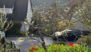 Ellis Häusle - Photo 4