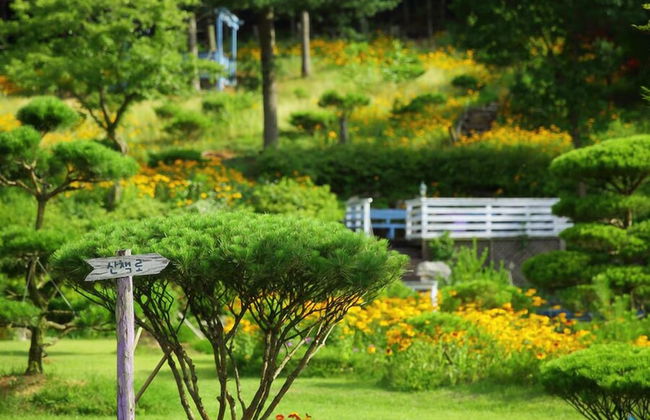 Byeolmuri Pension - Photo 35