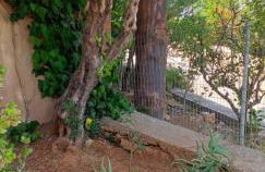 Ammos Apartments - Foto 12