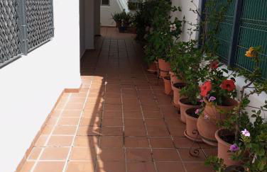 Cigüeñas - Foto 48