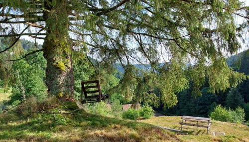 Le Refuge perché du saut de la bourrique, SPA, terrain clôturé, bordure de forêt - Foto 3