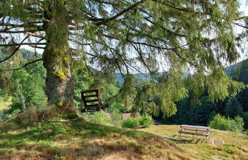 Le Refuge perché du saut de la bourrique, SPA, terrain clôturé, bordure de forêt - Foto 3