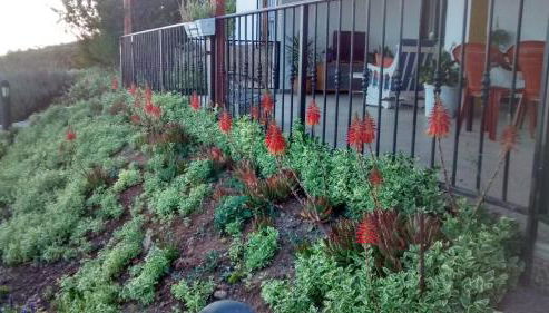 Villa Carmencita - Foto 5, Garden view