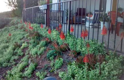 Villa Carmencita - Foto 5