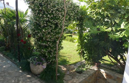 Apartment Marijana - Photo 13