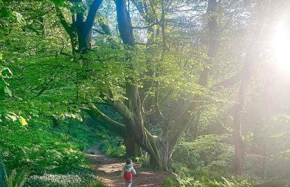 Serene Sea Valley - Foto 10