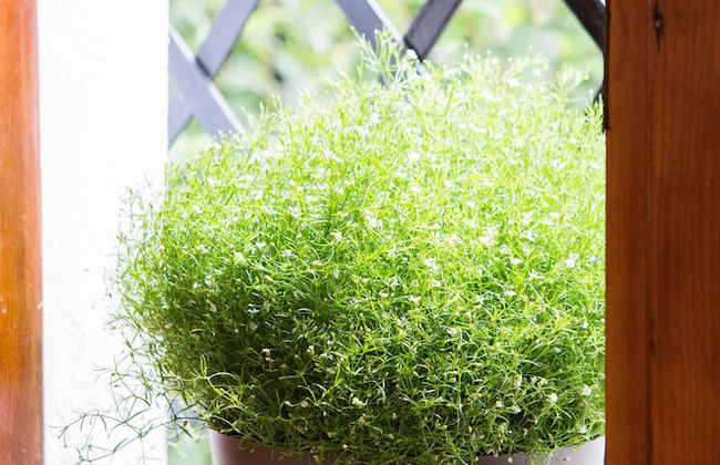 Saint John Villa Apartments - Foto 8