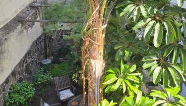 Benavides 5 - Foto 3