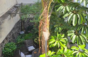 Benavides 5 - Foto 3