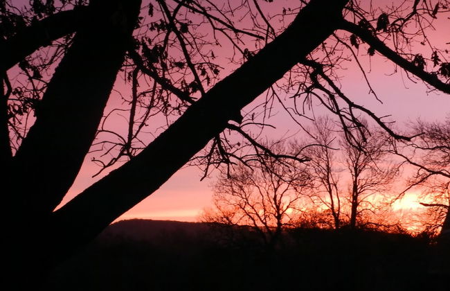 Cosy 5m Bell Tent Glamping in Rural Herefordshire - Foto 22