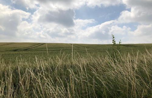 An der Stadtmauer Bürgel - Foto 23
