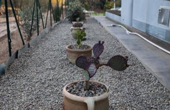 Appartamento Camisa - Il Fico - Foto 70