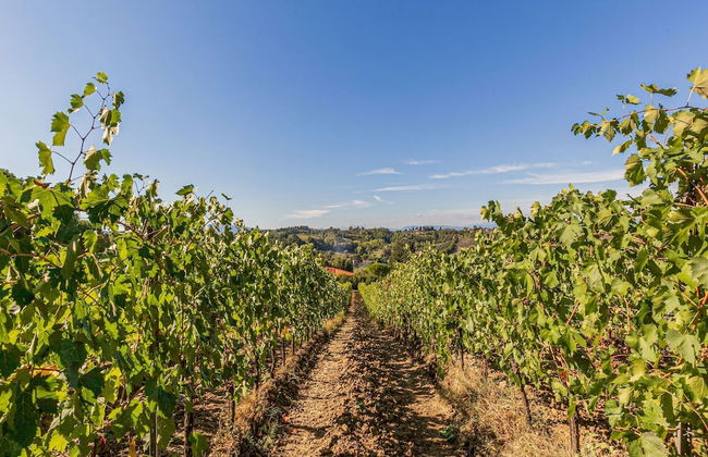 Belvilla by OYO San Miniato Trilocale - Foto 35