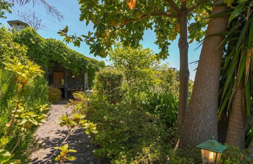 Quinta Devónia III - Nogueira by An Island Apart - Foto 88