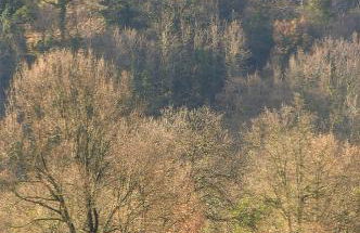 Angolo del Gelsomino - Foto 16