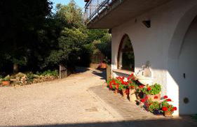 Gabrimilla - Foto 19