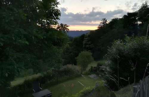 Langenberghof - Foto 33