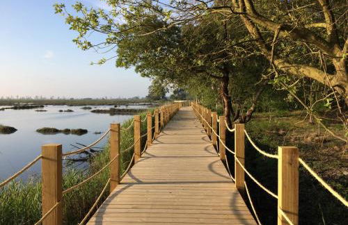 Casa do Paço Aveiro - HolidayHome - Foto 44