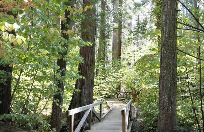 Mountain Retreat Resort - Photo 44