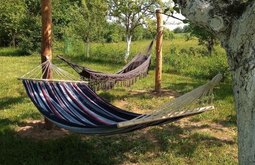 Sielanka na wzgórzu - Foto 5