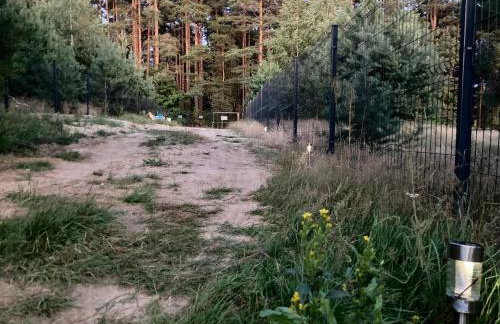 Przystanek Naglady Warmia- całoroczny, duża leśna działka - Foto 29