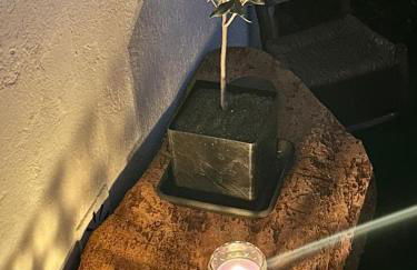 Mouradia Moura - Foto 32