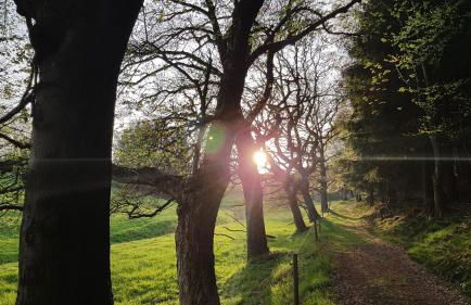 Zur alten Bäckerei - Finsterbergen - Foto 31