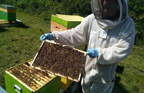 Cascina dei Cisi - Foto 50