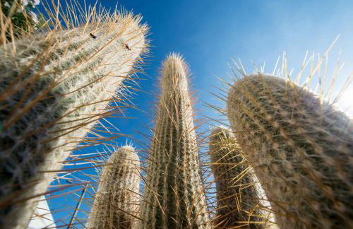 Capo Torre Resort & SPA - Foto 41