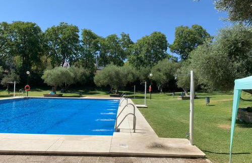 El Balcón de Sevilla - Foto 1