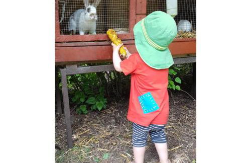 Farm Ferienhof Albert - Foto 34