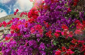 Sitges Hill Retreats-Masia Nur 22 bedrooms divided over 9 houses for max 44 guests - Foto 18