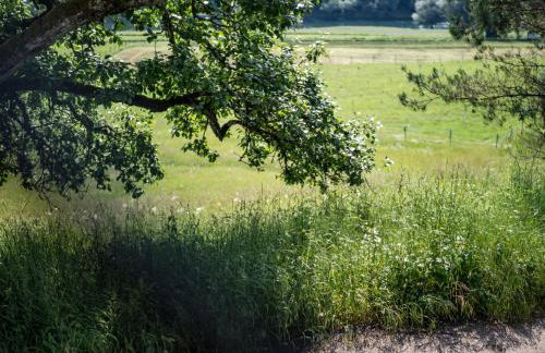 Riverside house with pool jacuzzi and sauna in Croatia - Foto 53