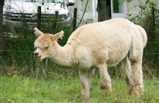 Silver Waters Lodge - Photo 51