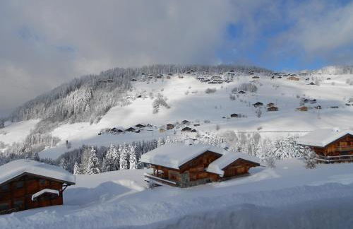 Chalets Savoie Les chalets d'Heidi - Photo 73