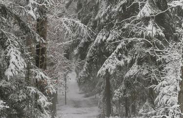 Piece of Greece - Foto 50