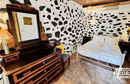 Casa da Serreta by PontaNegraAzores - Photo 7