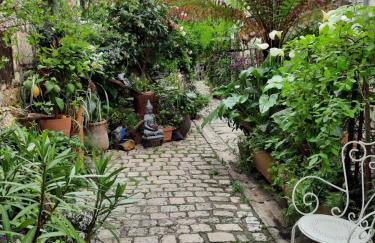 Terra-Crystal - Foto 10