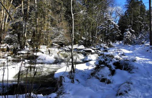 Ferienwohnung am Woid - herrliche Alleinlage - vegane Einrichtung - Foto 34