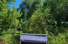 Am alten Siel - Foto 59