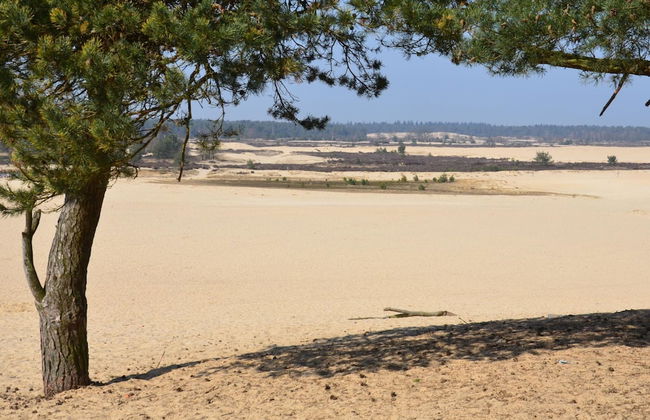 Lodge in Duinhoeve Near Dunes & Playground - Photo 21