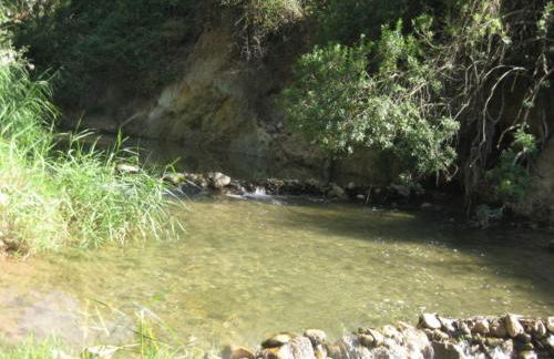 El Encinar de Cobo - Foto 12