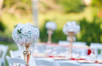 Country Cove - Foto 63