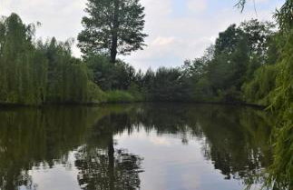 Przystań Rudniki - Foto 22