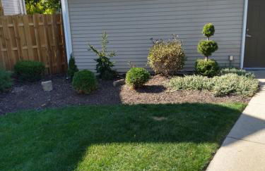 Family Friendly JUST LIKE HOME - Photo 22