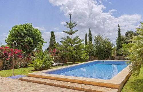 Finca Antonio - Foto 18