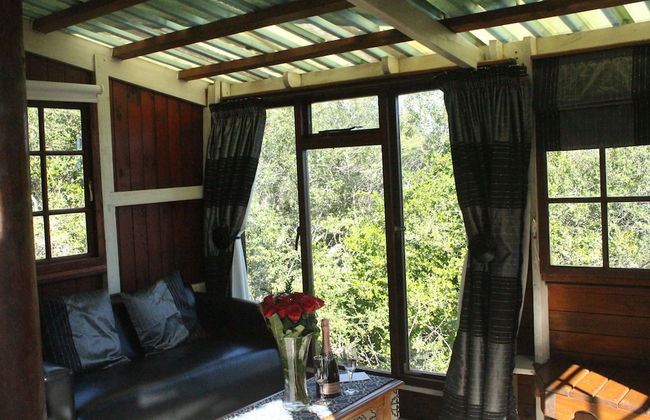 Teniqua Treetops - Foto 42