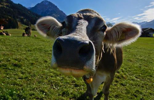 Haus Sylta - Foto 48