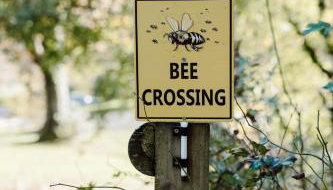 The Coed-Y-Mwstwr Hotel - Foto 2