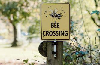 The Coed-Y-Mwstwr Hotel - Foto 2